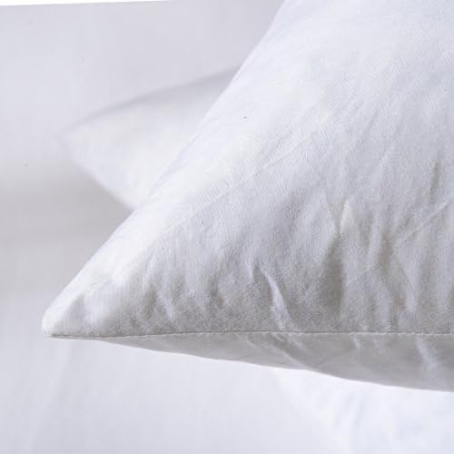 Pillow Insert - 2 Pack