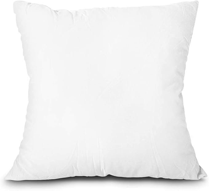 Pillow Insert
