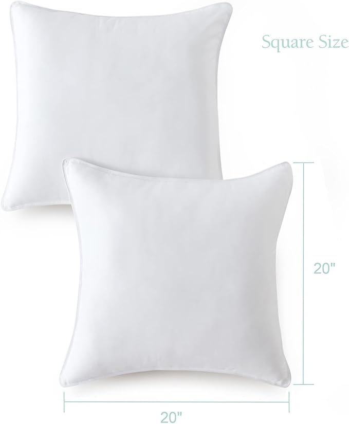 Pillow Insert - 20 x 20 in - 2 Piece