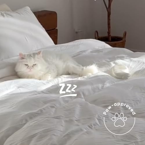 100% Cotton Duvets Down Comforter - King