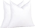 Pillow Insert