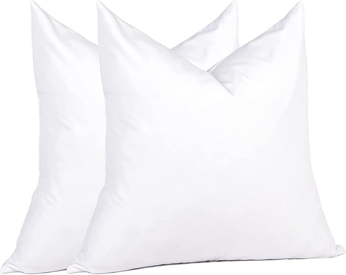 Pillow Insert