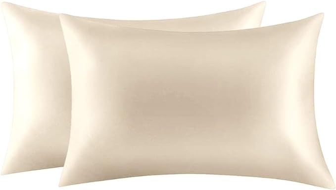 Mulberry Silk Pillowcase Set - Standard - 2 Piece
