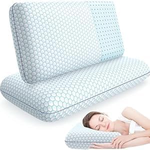 Memory Foam Bed Pillow - Queen - 2 Piece