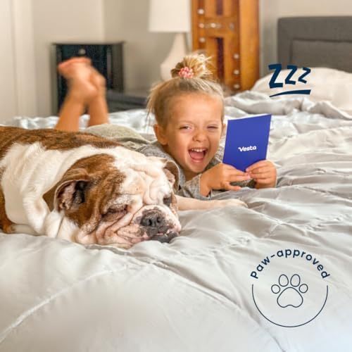 100% Cotton Comforter Set - Queen