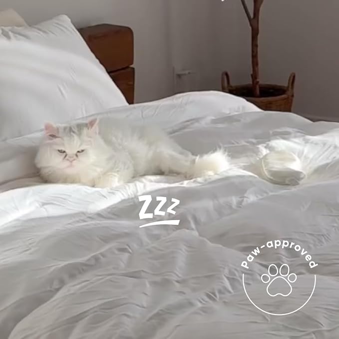 100% Cotton Blanket - Queen