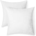 Hypoallergenic Pillow Insert - 2 Pack