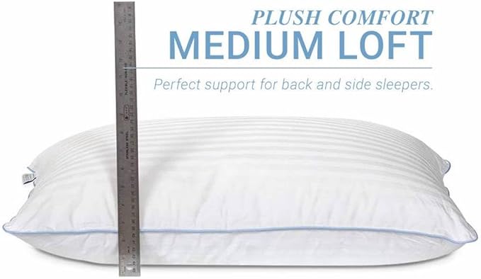 100% Cotton Bed Pillow - Queen - 2 Pack