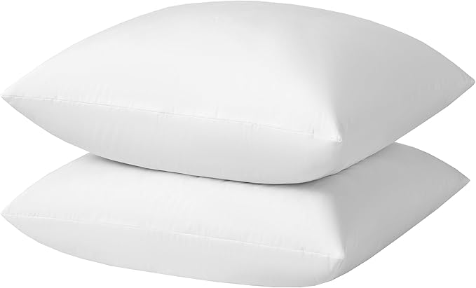 Pillow Insert - 2 Piece