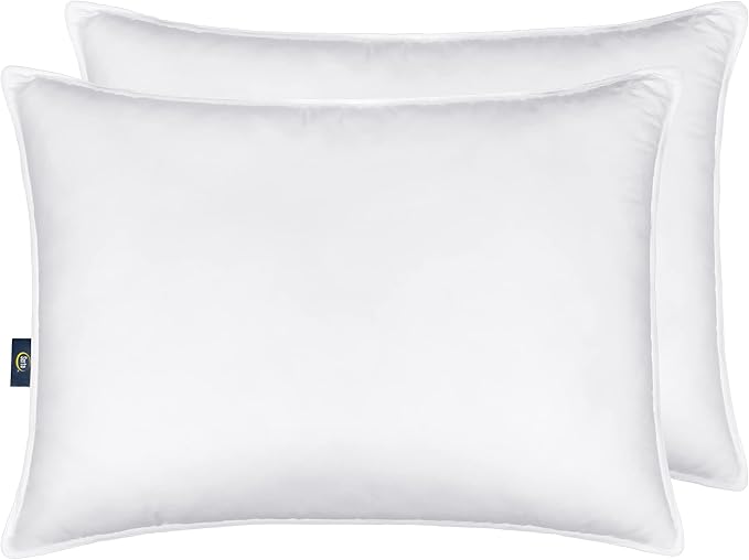 Hypoallergenic Bed Pillow - Queen - 2 Pack