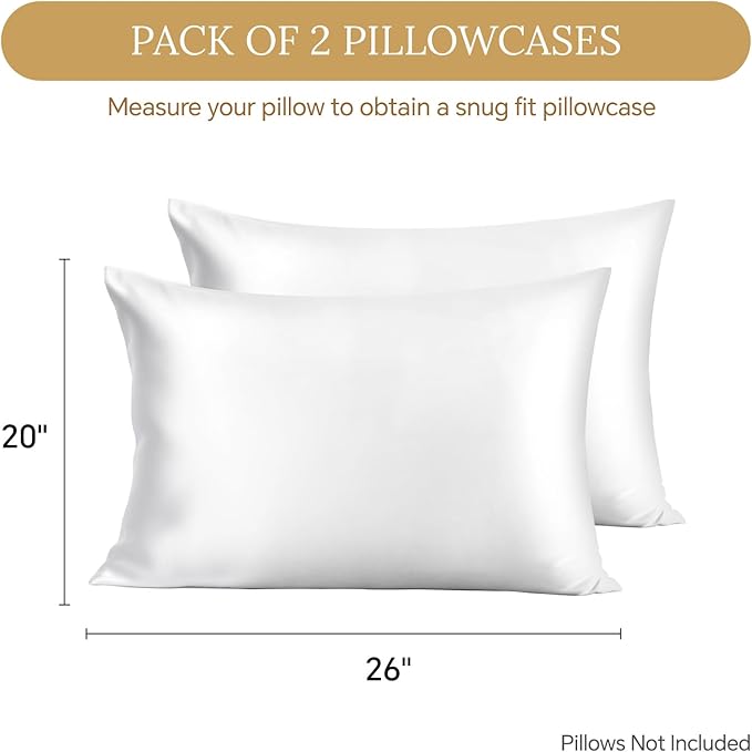 Mulberry Silk Cooling Pillowcase Set - Standard - 20 x 26 in - 2 Pack