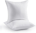 Pillow Insert - 20 x 20 in - 2 Piece