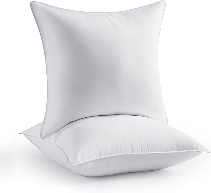 Pillow Insert - 20 x 20 in - 2 Piece