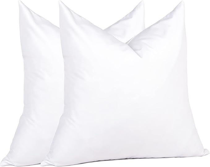 Pillow Insert - 16 x 16 in - 2 Piece