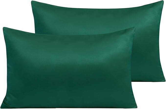 Satin Pillowcase Set - Queen - 20 x 30 in - 2 Piece