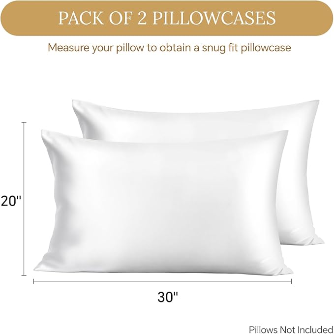 Mulberry Silk Cooling Pillowcase Set - Queen - 20 x 30 in