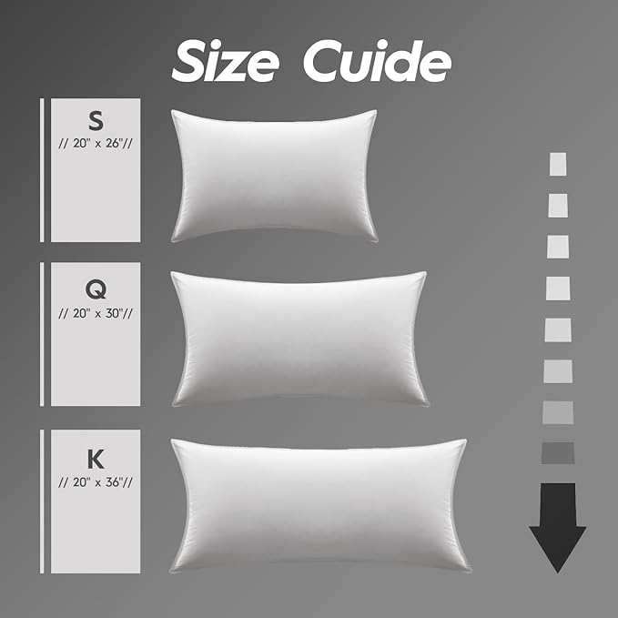 100% Cotton Bed Pillow - Queen - 2 Piece
