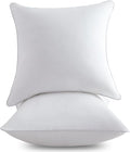100% Cotton Pillow Insert - 2 Piece