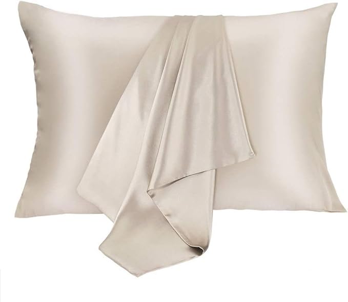Mulberry Silk Hypoallergenic Pillowcase Set - Queen - 2 Pack