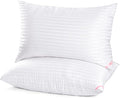 Microfiber Bed Pillow - King - 20 x 36 in - 2 Pack