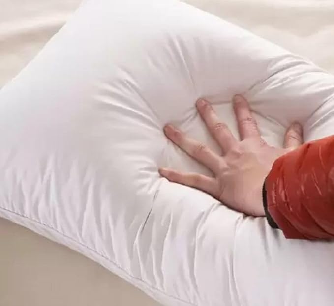 Down Alternative Hypoallergenic Pillow Insert - Queen - 20 x 30 in