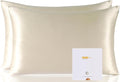 Mulberry Silk Pillowcase Set - Standard - 2 Pack
