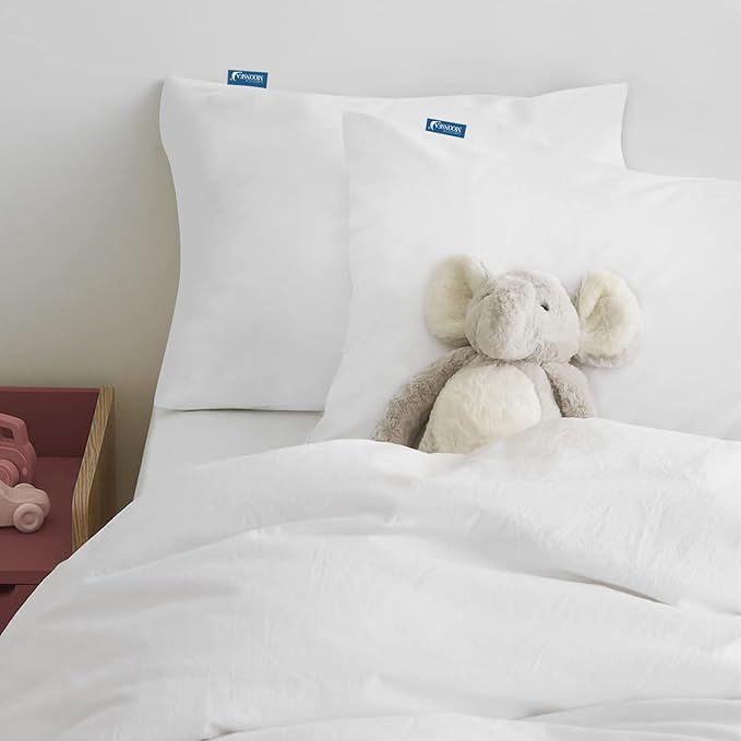 Waterproof Pillow Protector - 2 Pack
