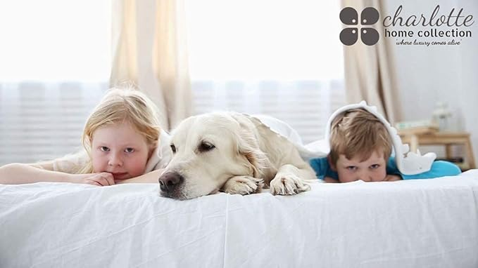 Cooling Pillowcase Set - King - 2 Piece