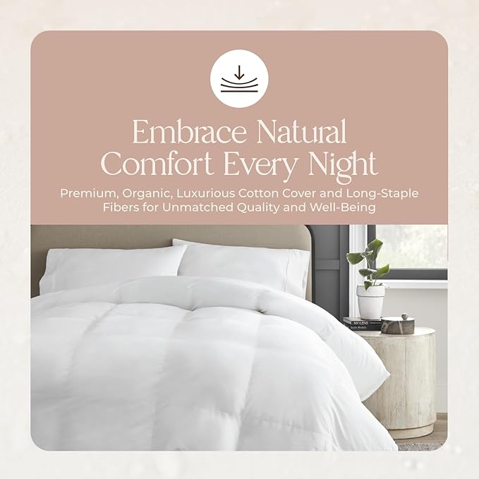 Microfiber Comforter - Queen