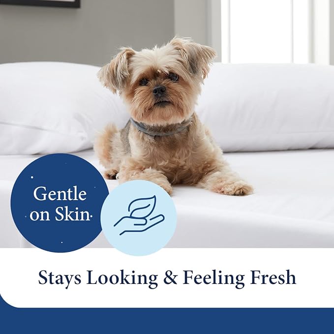 Bamboo Cooling Mattress Protector - Twin XL