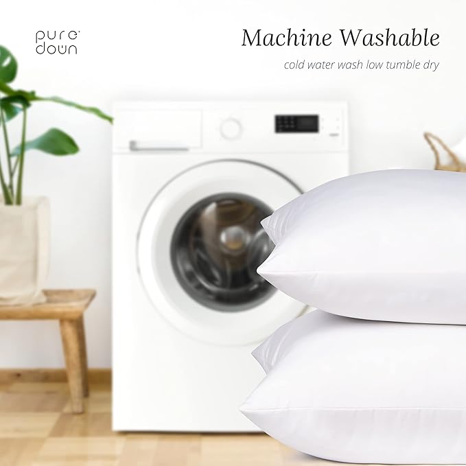 Pillow Insert - 2 Piece