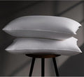 100% Cotton Bed Pillow - Standard - 2 Pack