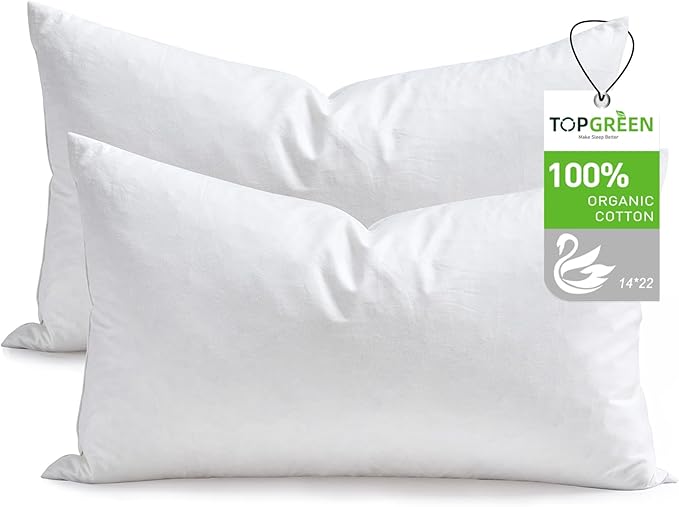 Pillow Insert - 2 Piece