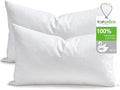 Pillow Insert - 2 Piece