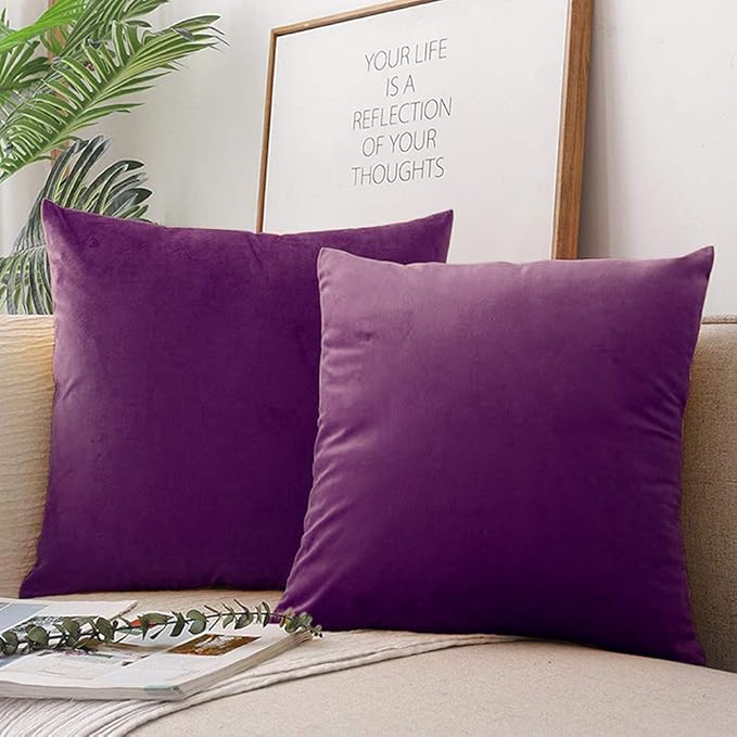 Velvet Pillowcase Set - 18 x 18 in - 2 Pack