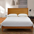 100% Cotton Duvets Down Comforter - King - 264 x 229 in