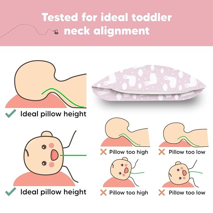 Bed Pillow