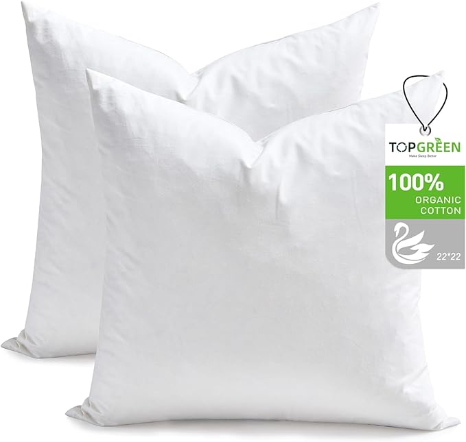 Pillow Insert - 2 Piece