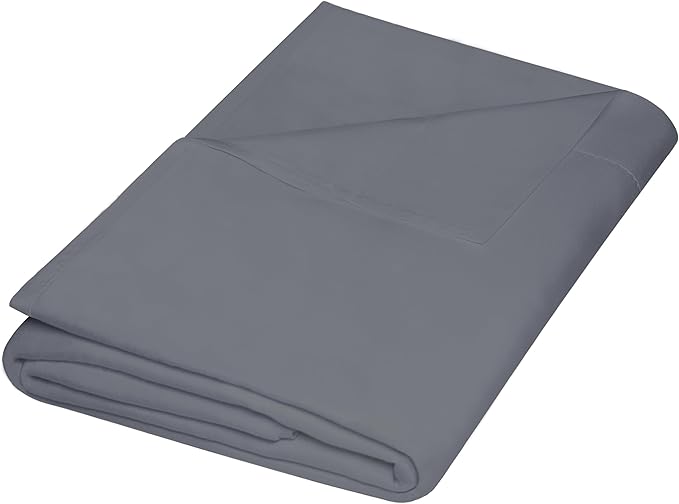 Microfiber Hypoallergenic Flat Sheet - Queen