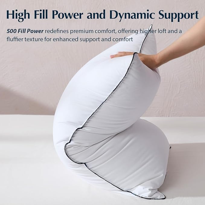 Bed Pillow - Queen - 2 Piece