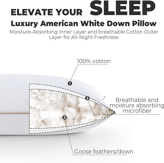 100% Cotton Bed Pillow - Queen - 20 x 30 in - 2 Piece