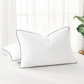 Bed Pillow - Queen - 20 x 28 in - 2 Pack