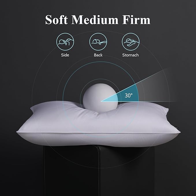 100% Cotton Bed Pillow - Standard - 2 Pack