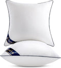 100% Cotton Pillow Insert - 2 Piece