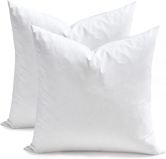 Pillow Insert - 2 Piece
