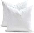 Pillow Insert - 2 Piece