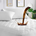 Waterproof Mattress Pad - Full
