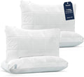 Cooling Bed Pillow - Queen - 4 Piece