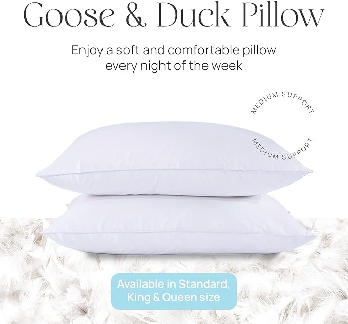 100% Cotton Bed Pillow - Standard - 20 x 26 in - 2 Piece