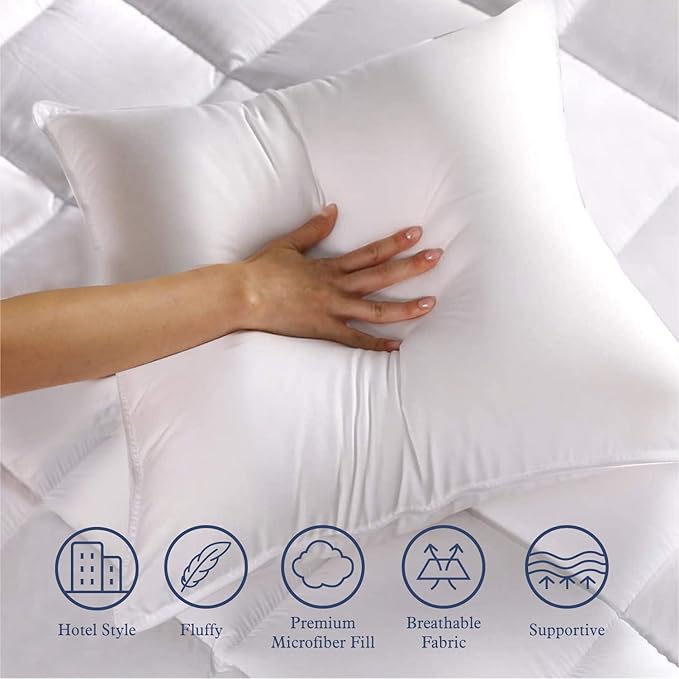 Pillow Insert - 20 x 20 in - 2 Piece